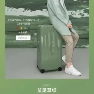 Sage green rimowa suitcase