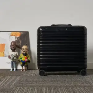 GF4343DN single piece premium suitcase