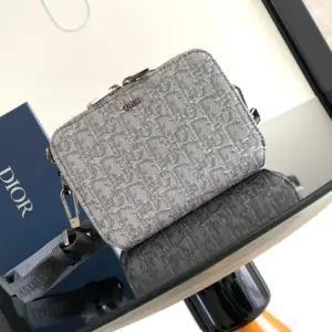 Louis Vuitton Oblique modern handbag