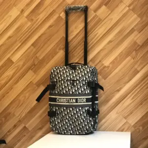 Dior light series bag