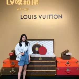Louis Vuitton tea box case