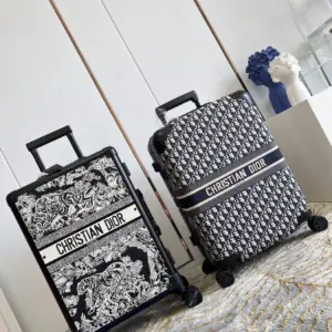 Dior suitcase