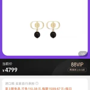 Dior letter earring necklace